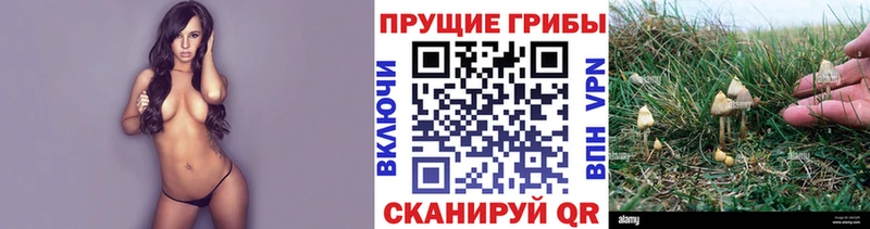 Галлюциногенные грибы мицелий  Железногорск 