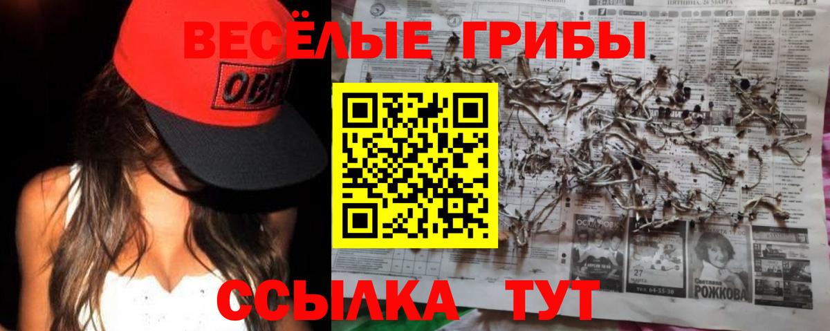 Галлюциногенные грибы MAGIC MUSHROOMS Железногорск